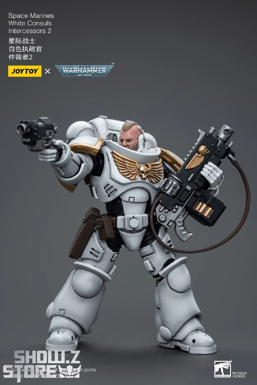 JoyToy Source 1/18 Warhammer 40K Space Marines White Consuls Intercessors 2 8 JoyToy Source 1/18 Warhammer 40K Space Marines White Consuls Intercessors 2 - Image 6