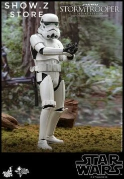 Hot Toys 1/6 Stormtrooper Storm Trooper MMS515 Star Wars Deluxe Version -Cheap Action Figures Store cbf58be6a8